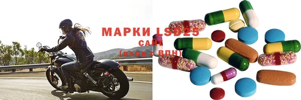 прущие грибы Алзамай