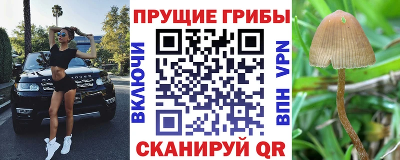 Галлюциногенные грибы MAGIC MUSHROOMS  Певек 